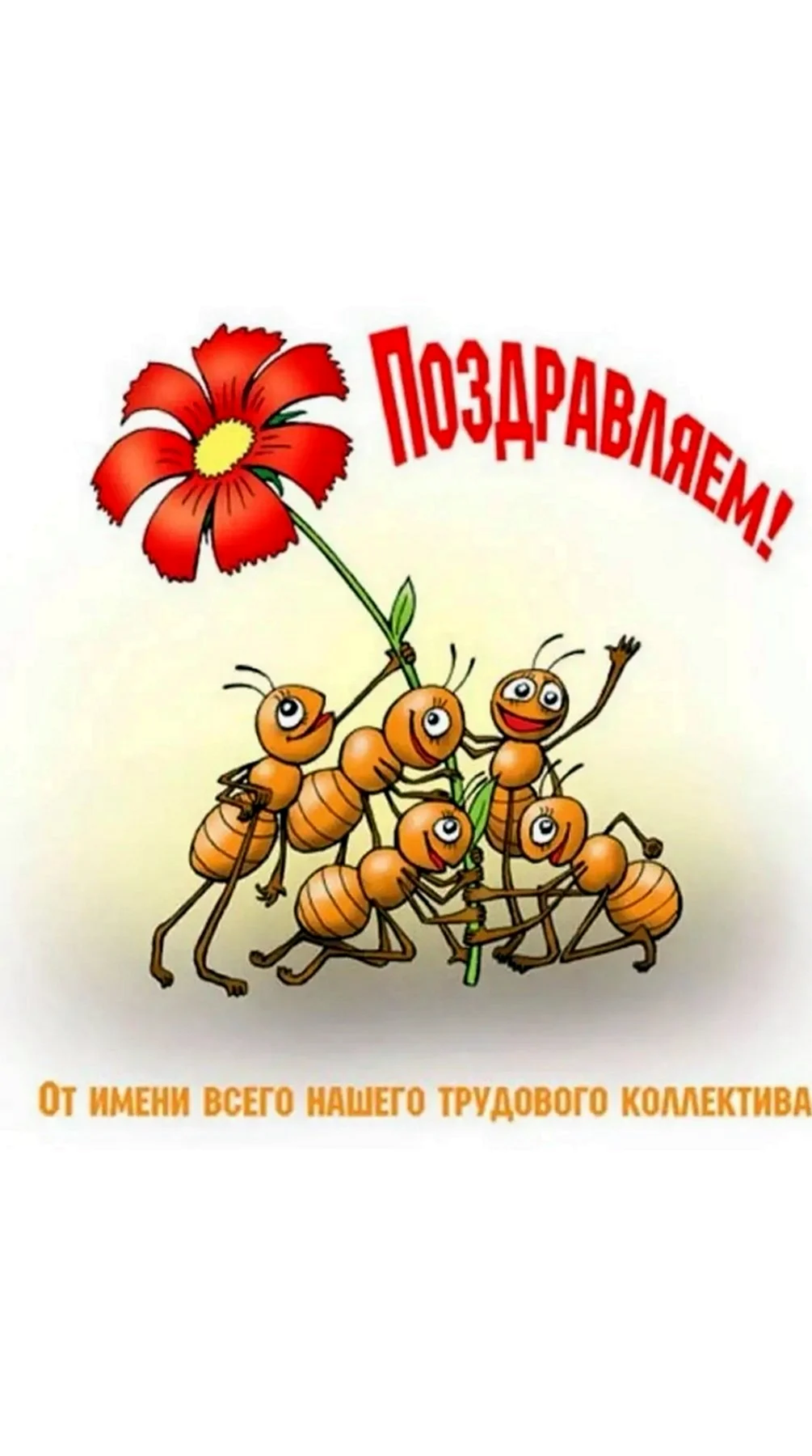 Пожелания успехов коллеге