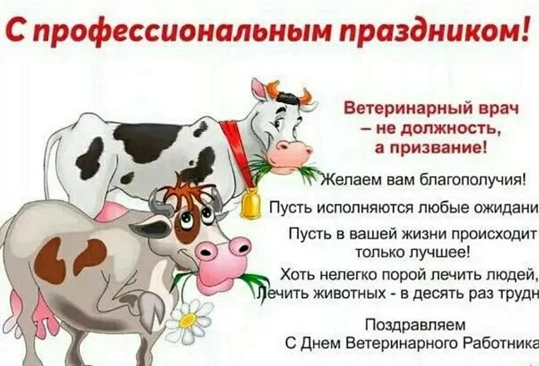 Поздравление с днем ветеринара