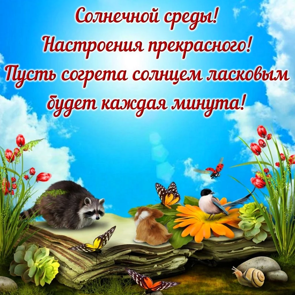 Поздравление со средой