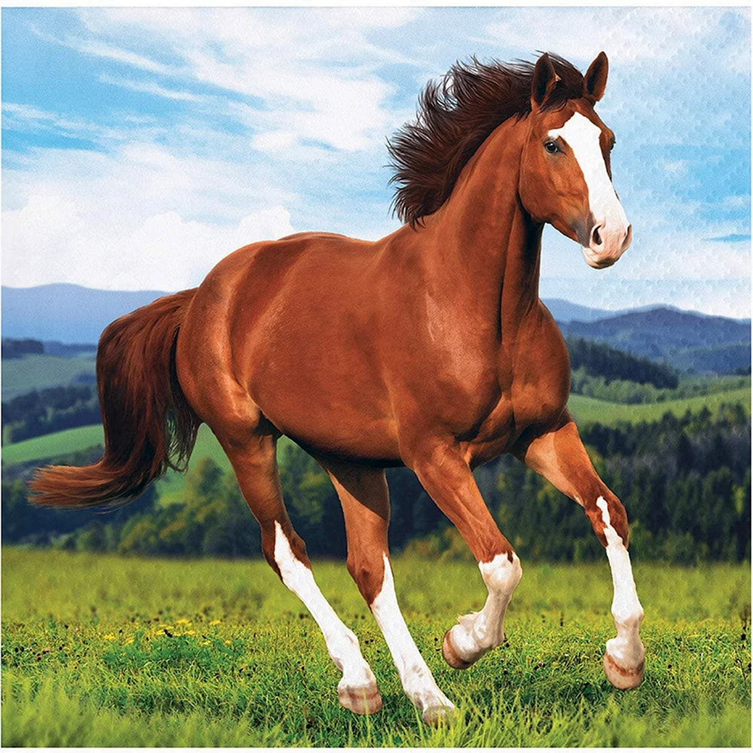 Открытка с лошадьми на день рождения - скачать бесплатно на сайте уральские-газоны.рф