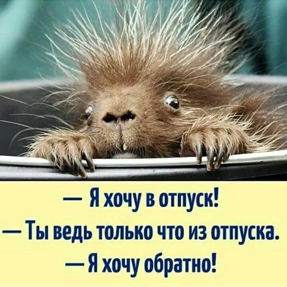 С отпуском