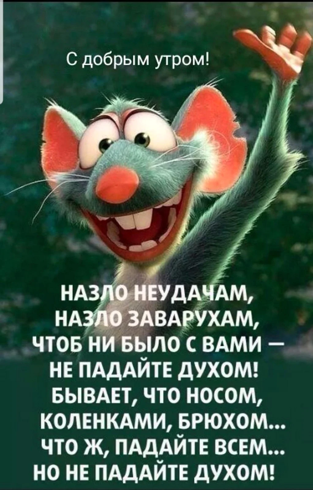 Позитивные цитаты