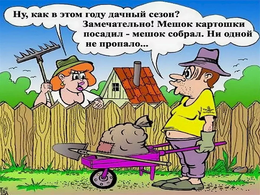 Приколы про дачу