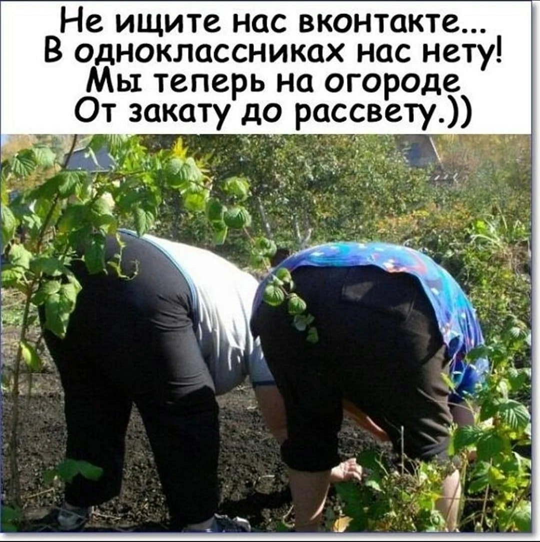 Приколы про огород