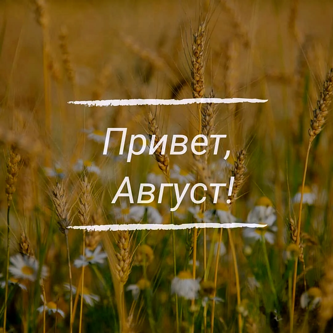 Привет август