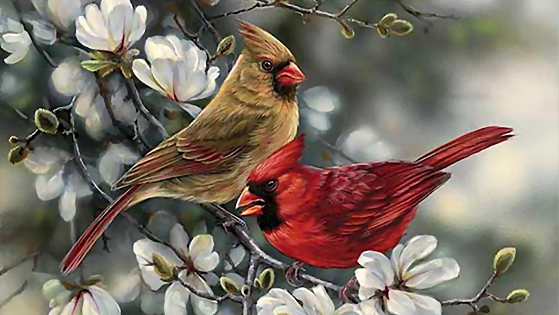 Птицы живопись