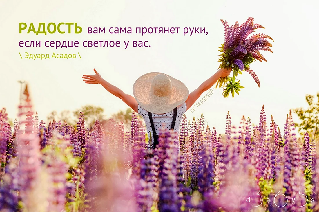 Радость жизни цитаты