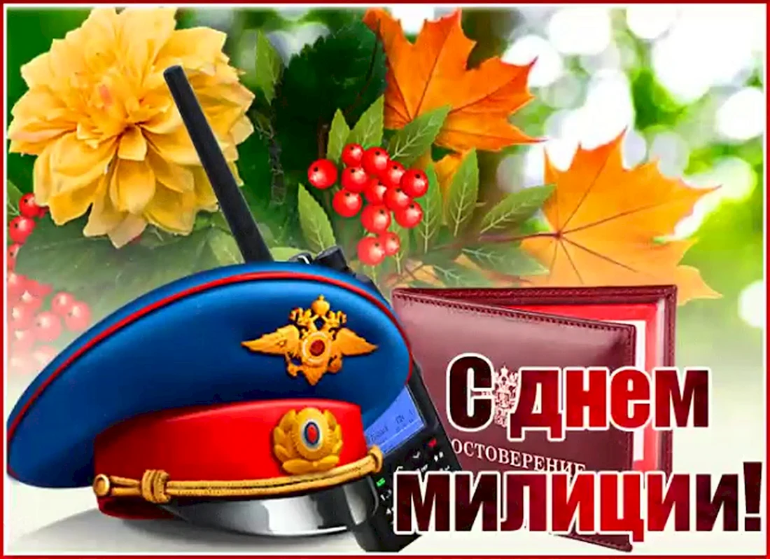 С днем милиции