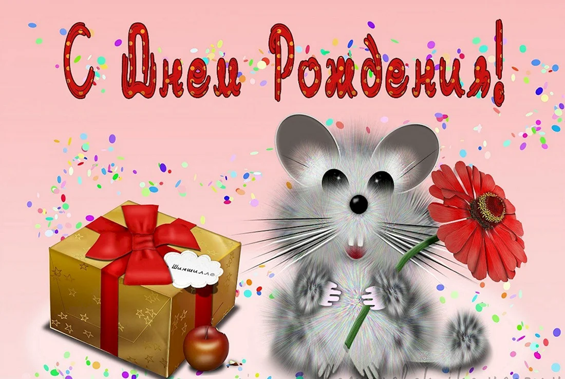 С днем рождения