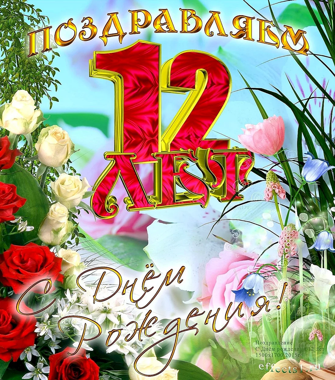 С днем рождения 12 лет