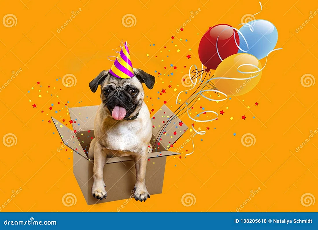 С днем рождения собачка с шариком