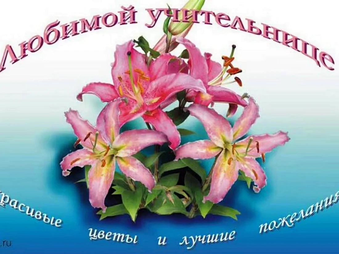 С днём рождения учителю