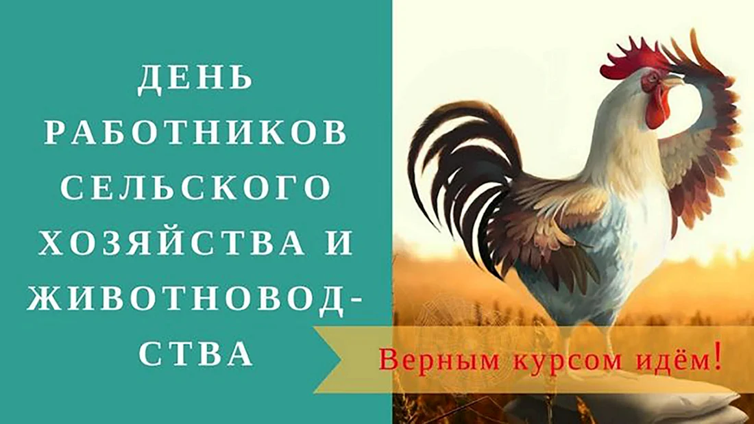 С днем сельского хозяйства птицеводов