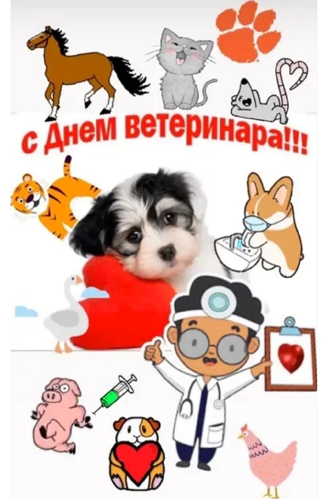 С днем ветеринарного врача