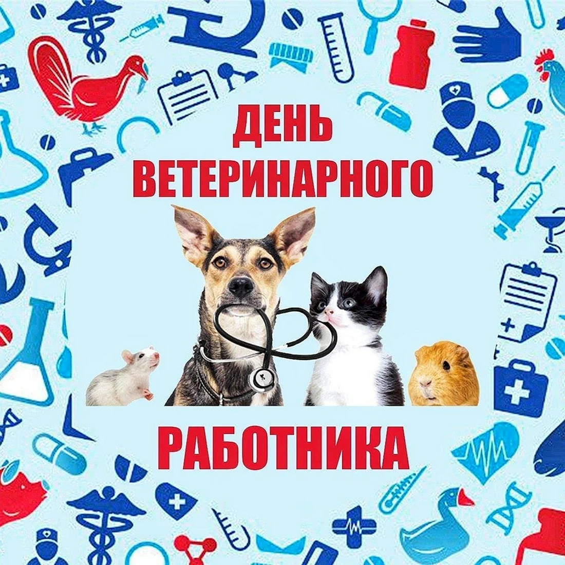 С днем ветеринарного врача