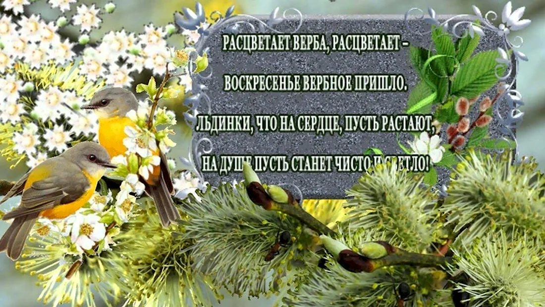 Открытки с добрым утром вербной недели. Открытки свербным воскресенье. С Вербным воскресеньем открытки. Открытка с Вербным воскр. Открытка с Вербн воскрес.