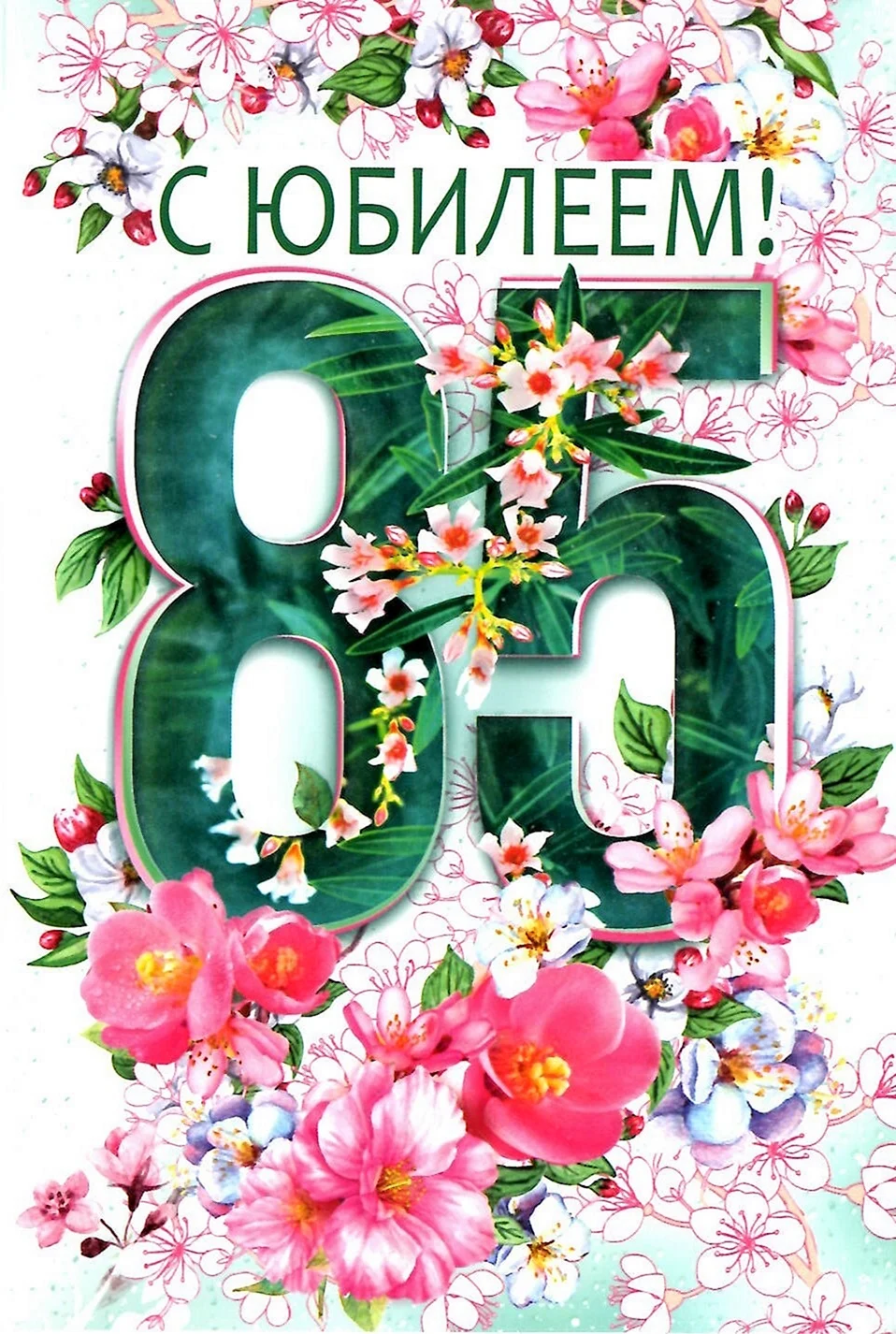 С юбилеем 85