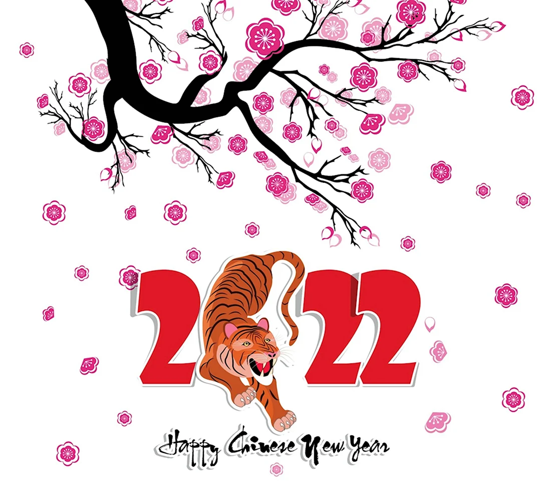 С китайским новым годом тигра