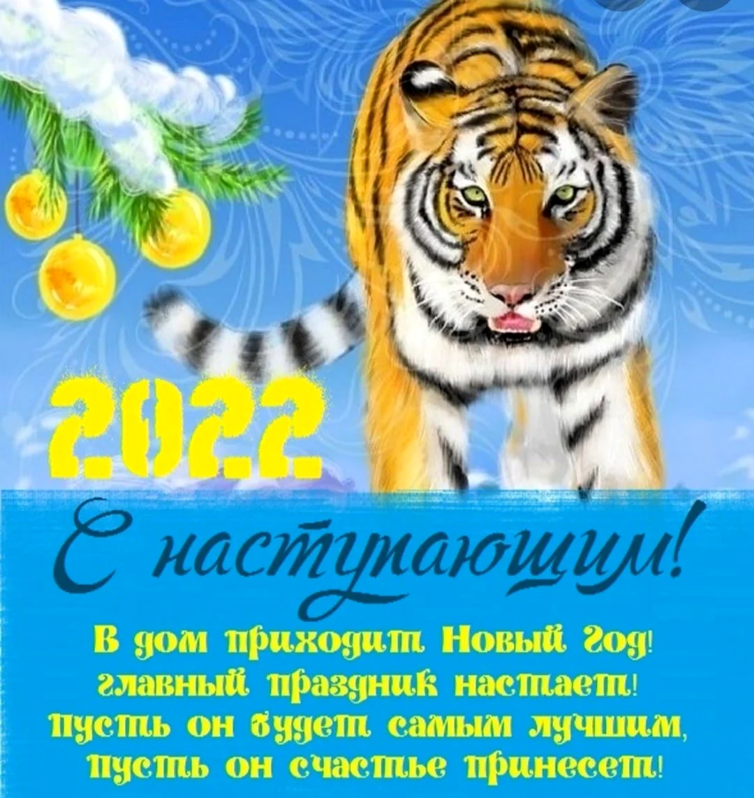 С новым годом 2022 тигр