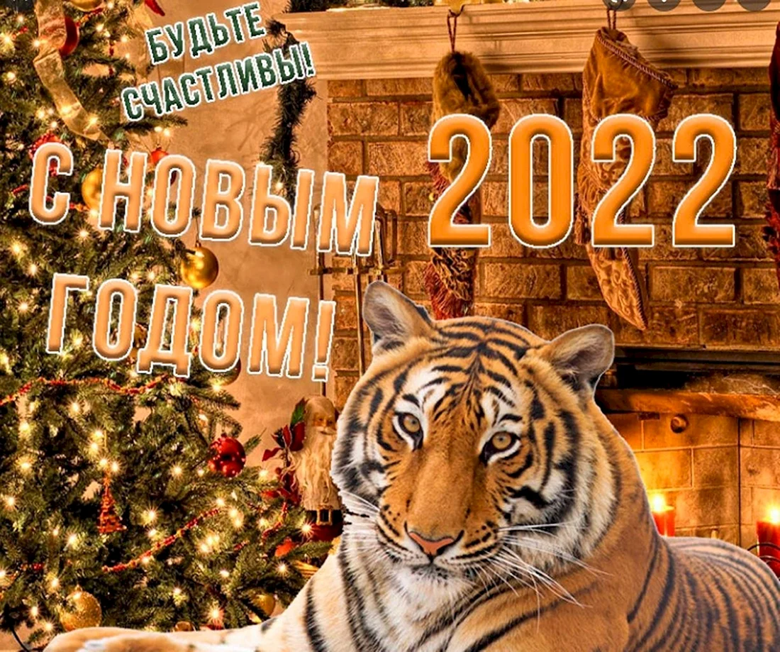 С новым годом тигра 2022