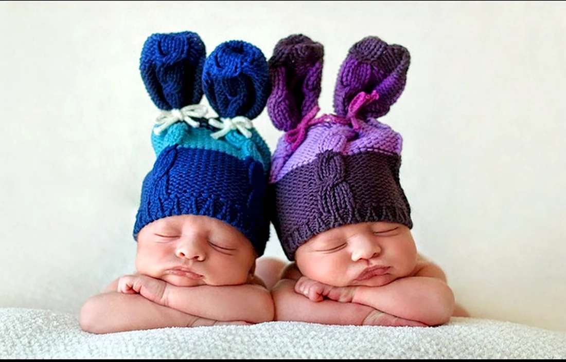 С рождением малышей двойняшек