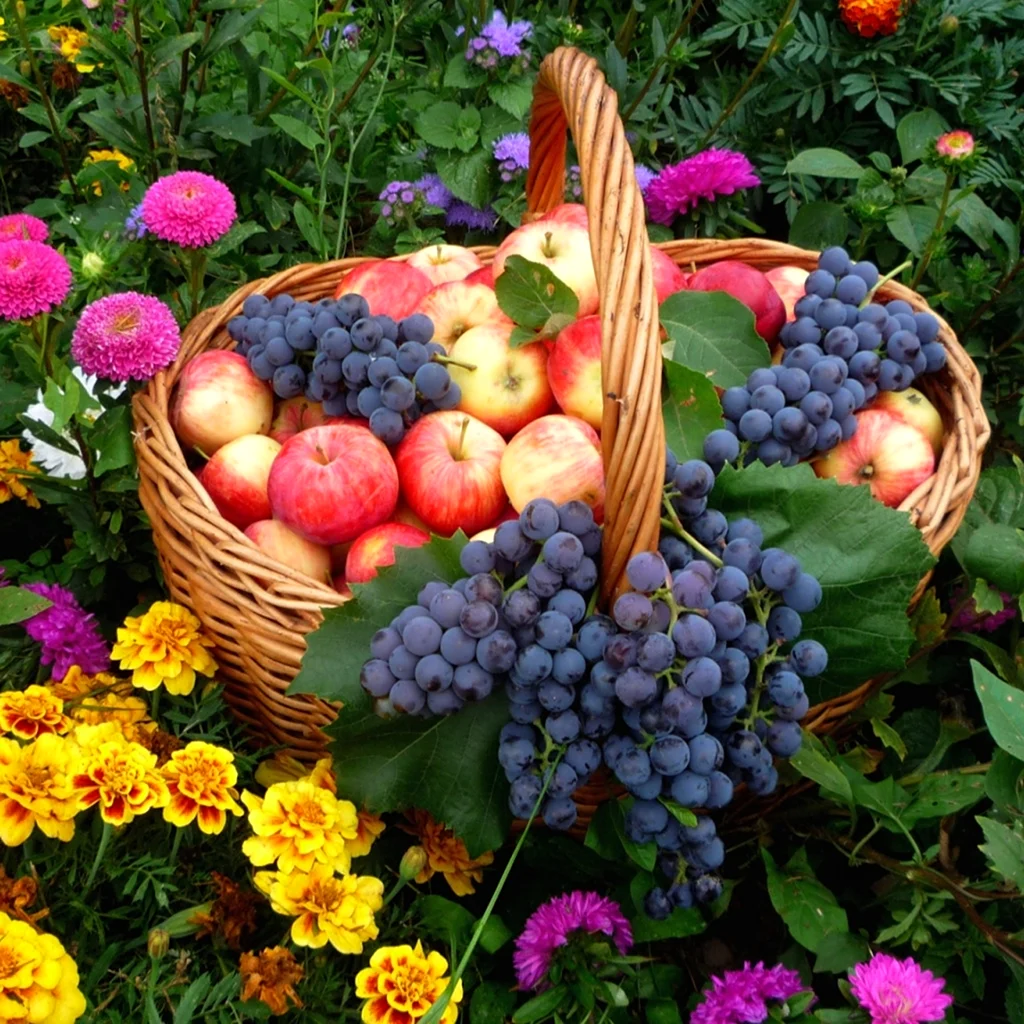 Садовые фрукты