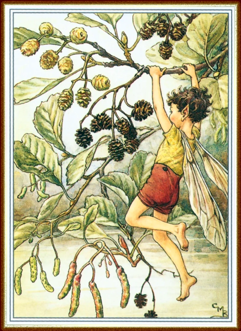 Сесиль Мэри Баркер Cicely Mary Barker