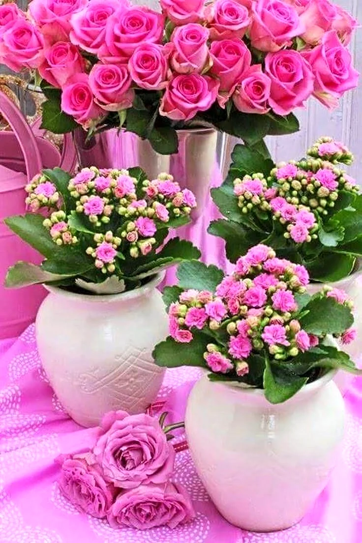 Шикарные букеты роз с добрым утром