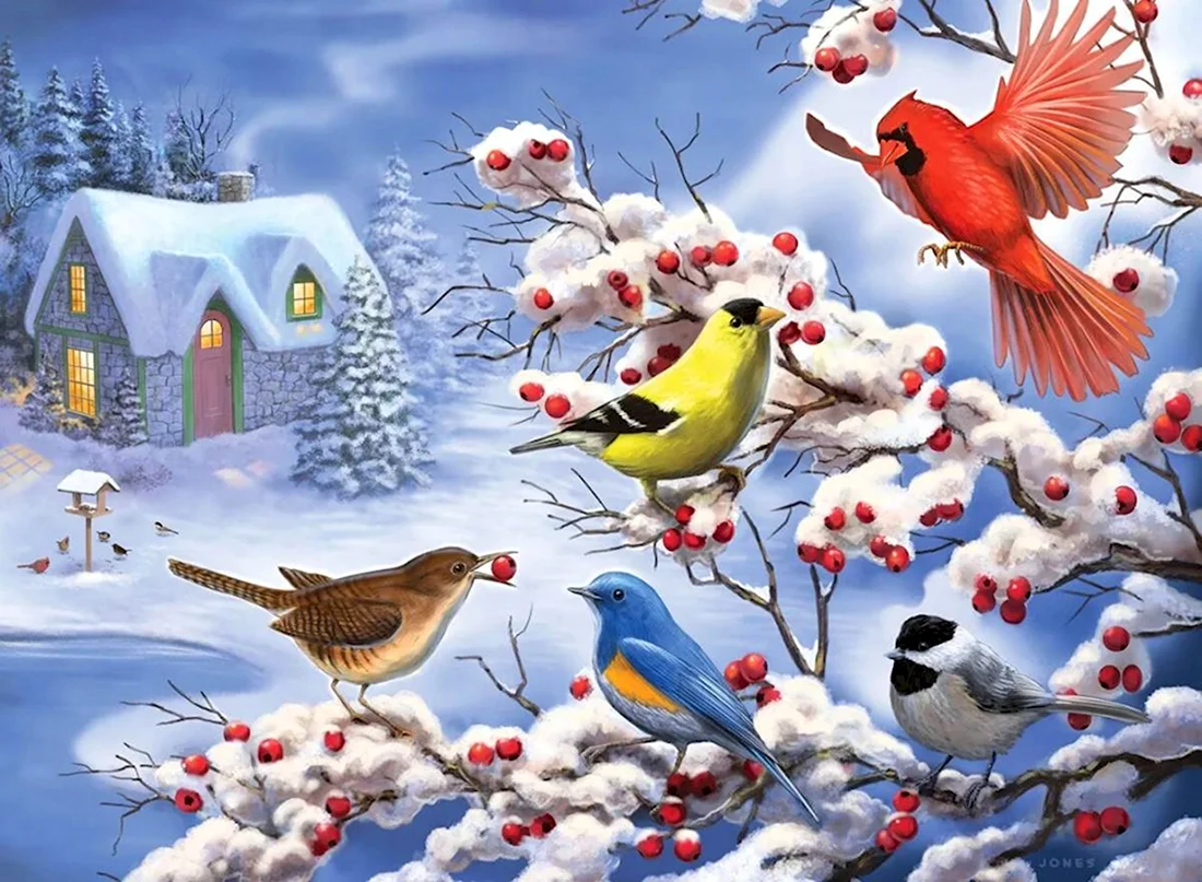 Сказочные зимние птицы