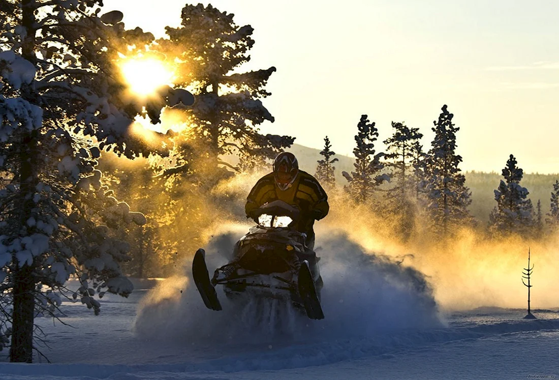 Ski Doo обои