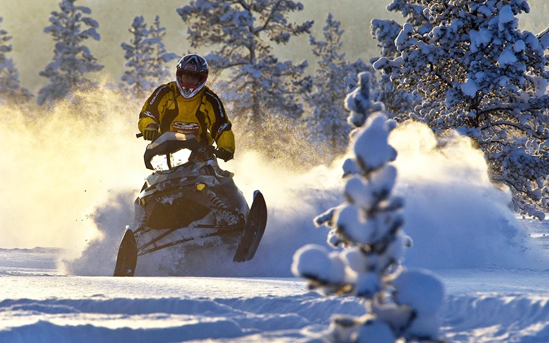 Ski Doo Tundra 600