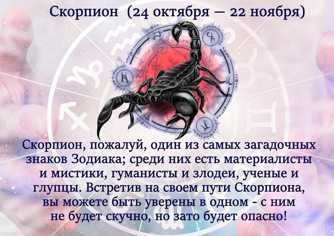 Скорпион знак гороскопа