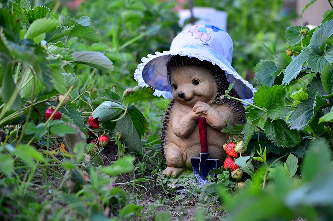 Смешной огородник