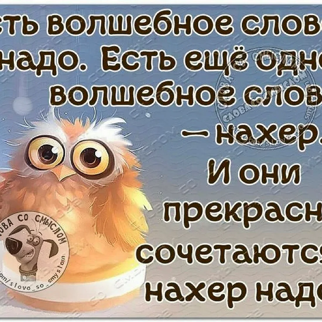 Смешные фразы