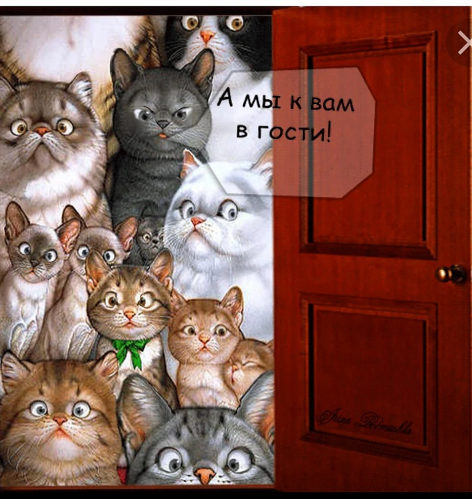 Смешные открытки с котиками