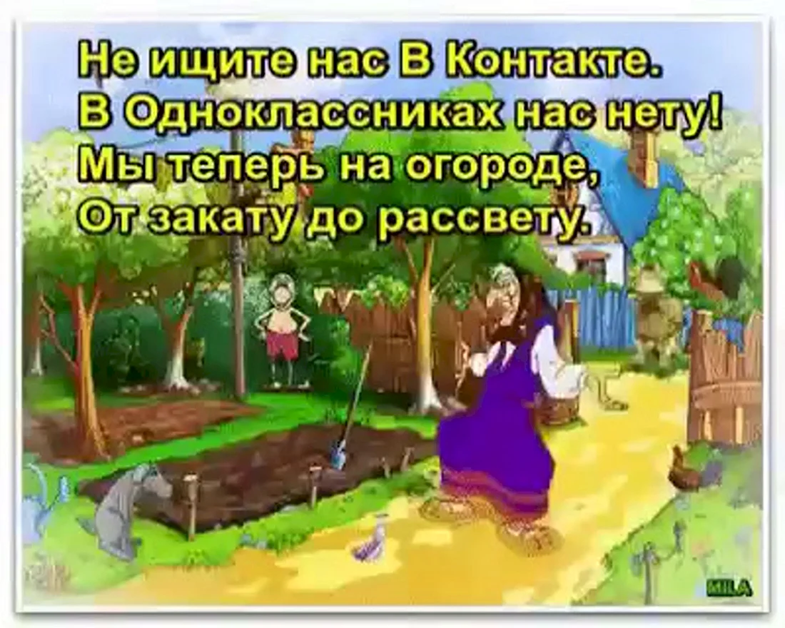 Смешные цитаты про огород