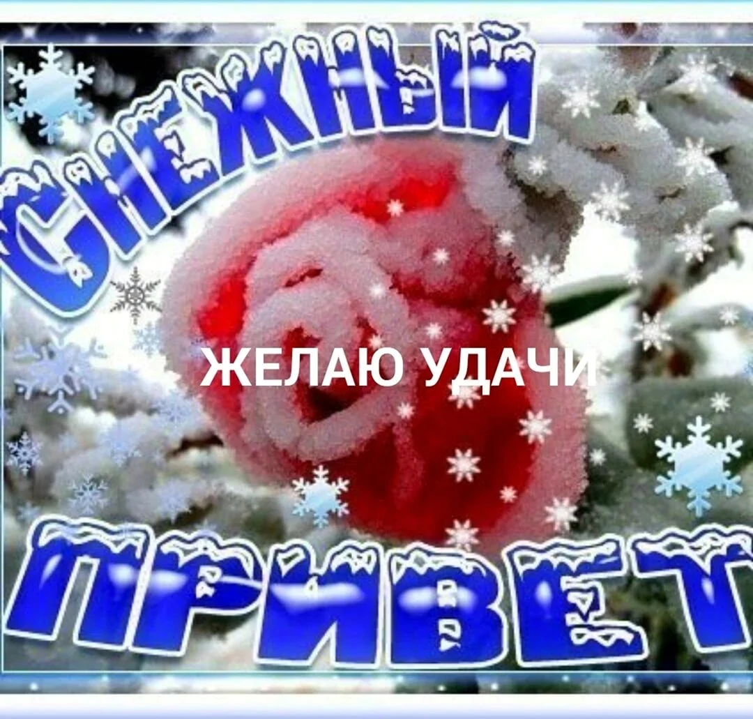 Снежный приветик