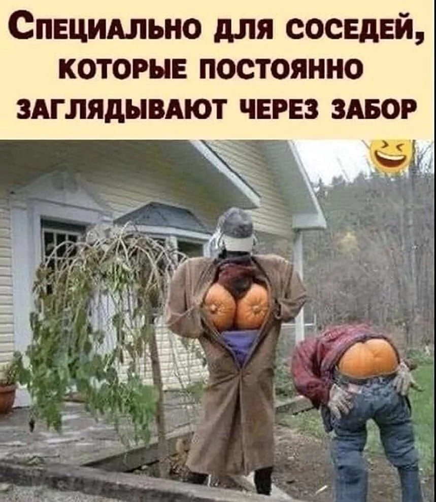 Соседи по даче прикольные