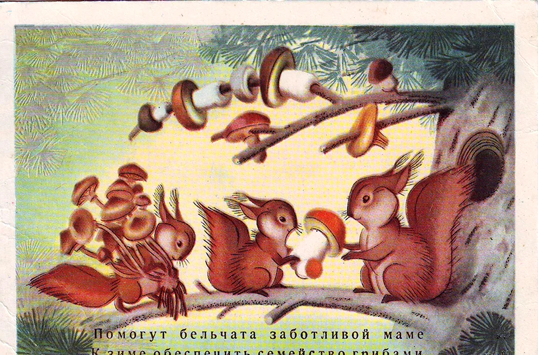 Советские открытки с белочками