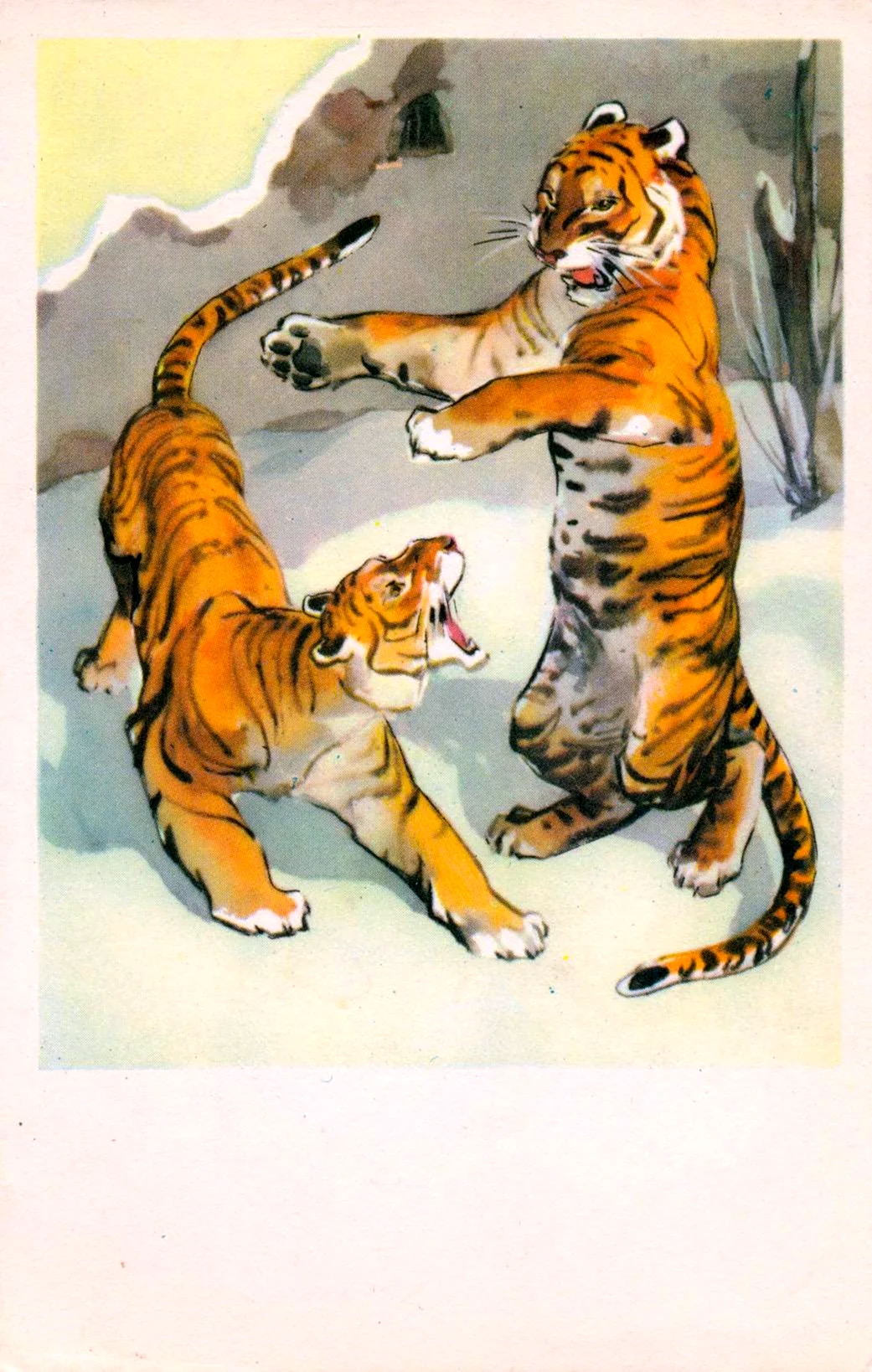 Советские открытки с тигром