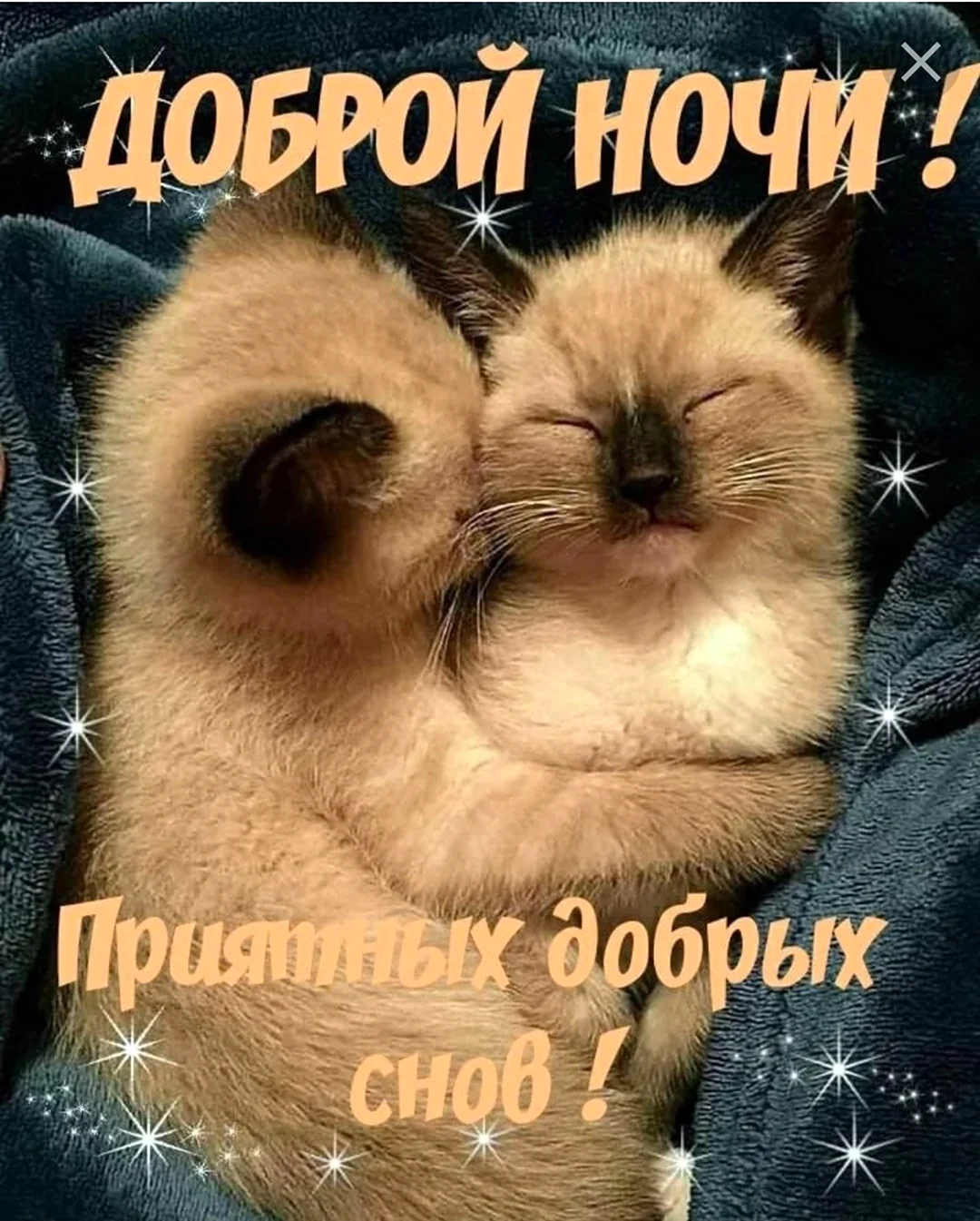 Спокойной ночи