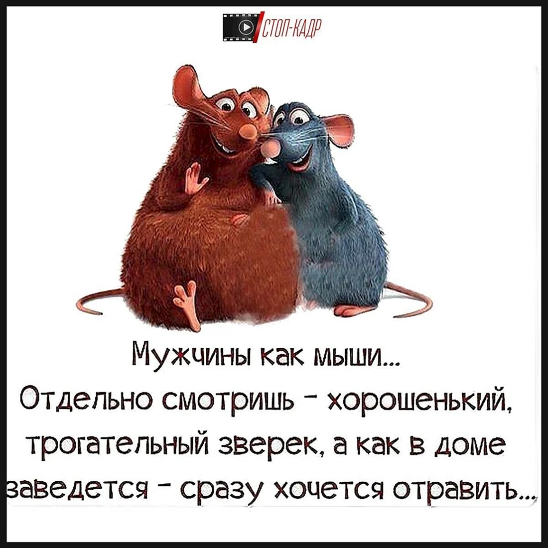 Статусы юмор