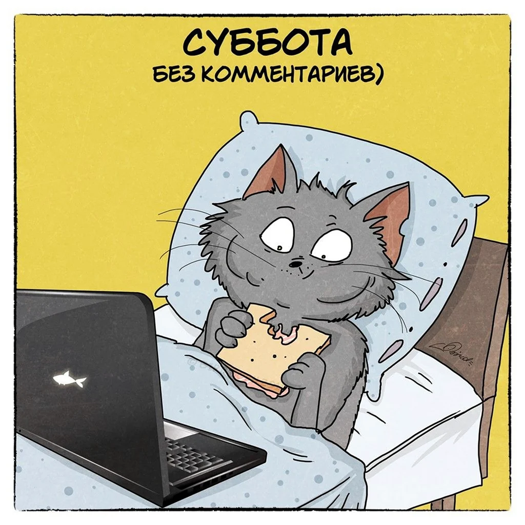 Картинка суббота приди. Суббота приколы. Открытки с субботой прикольные. Субботнее утро юмор. Смешные открытки с субботой.