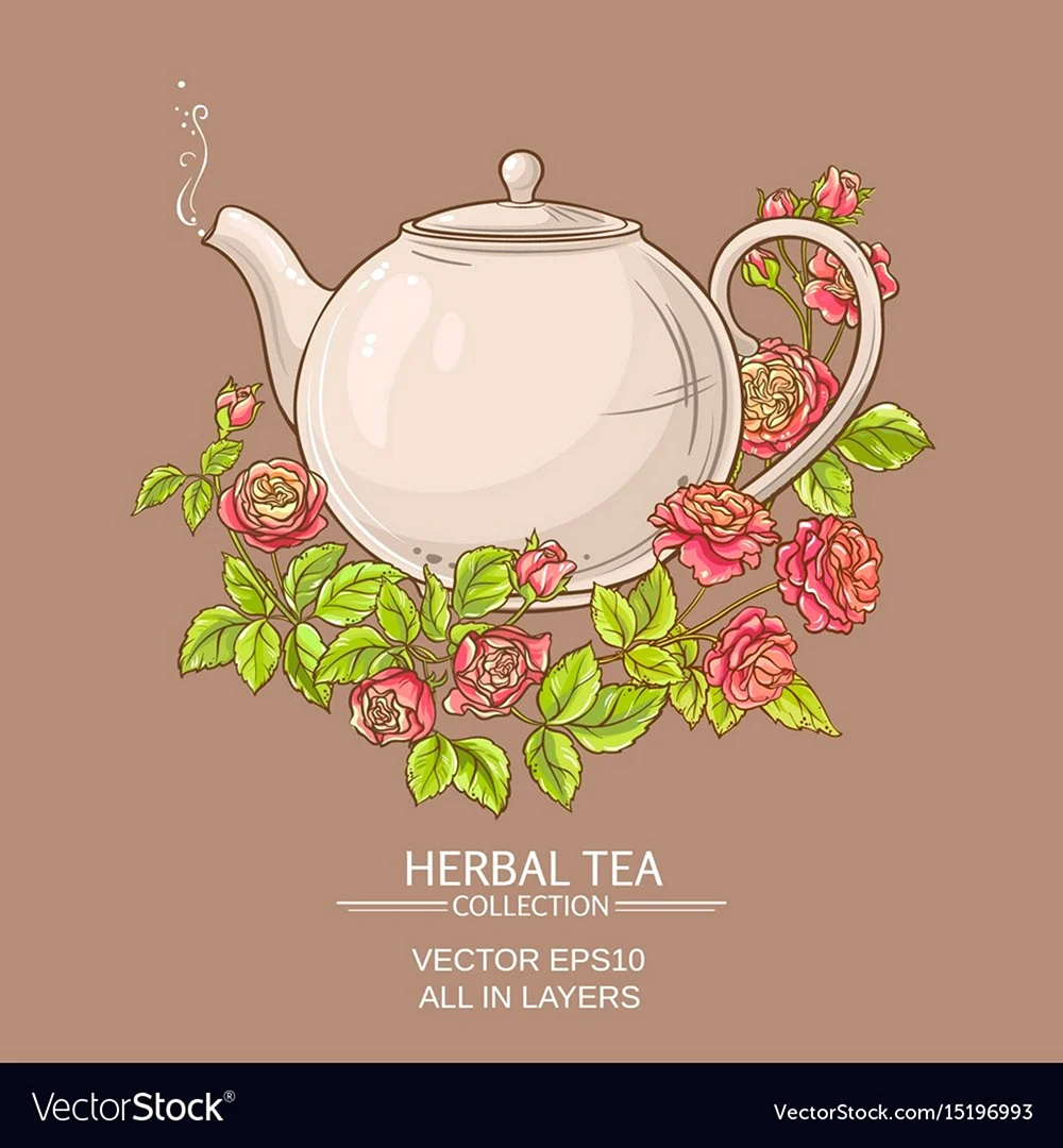 Tea Rose vector