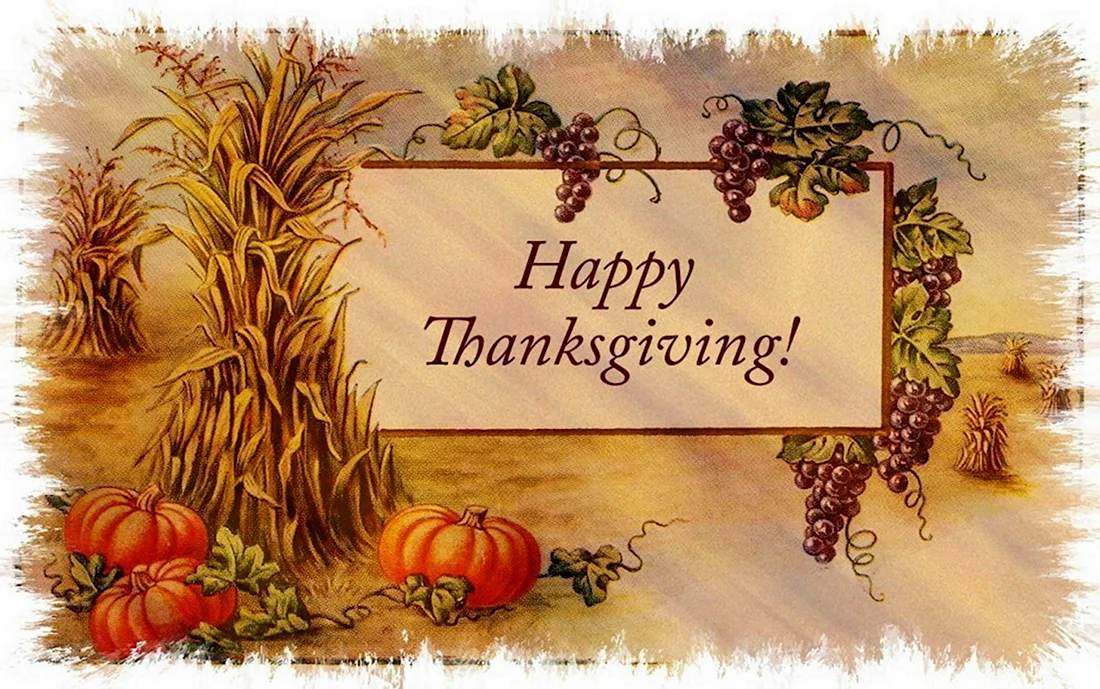 Thanksgiving Greeting Card