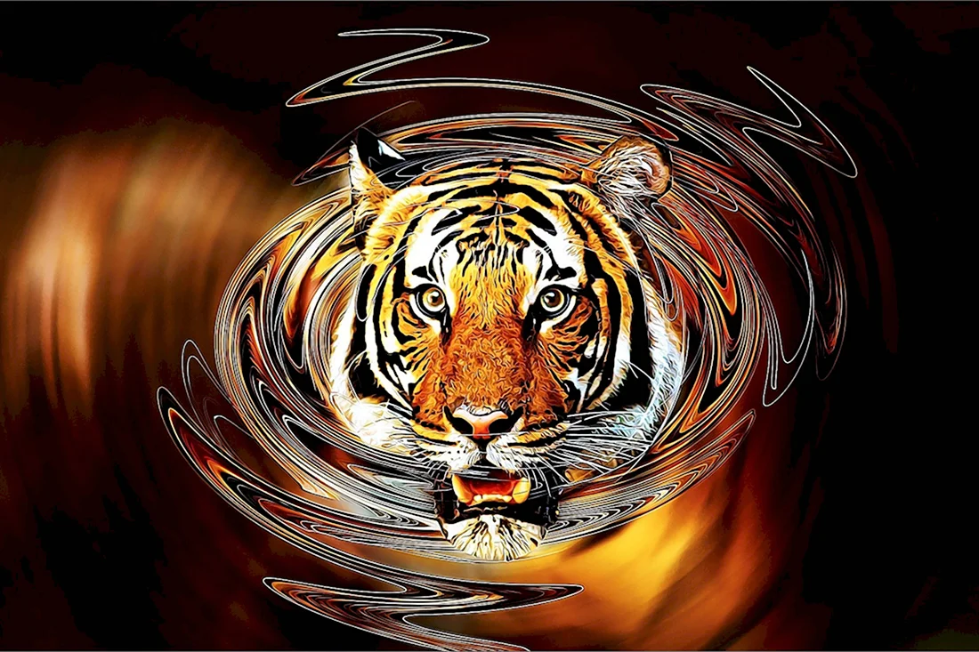 Тигр тигр года 2022