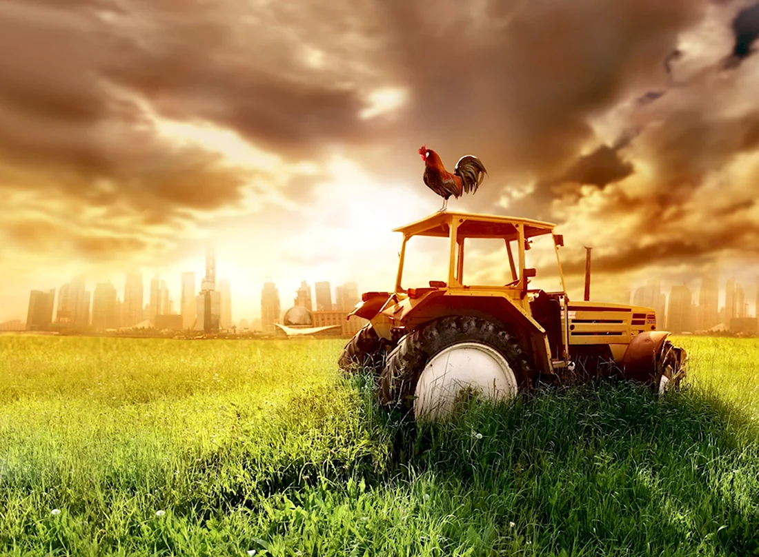 Трактор в поле плакат