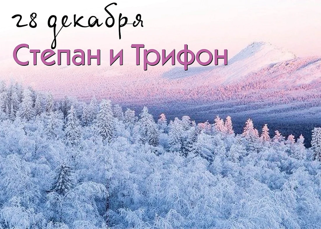 Трифонов день 28 декабря