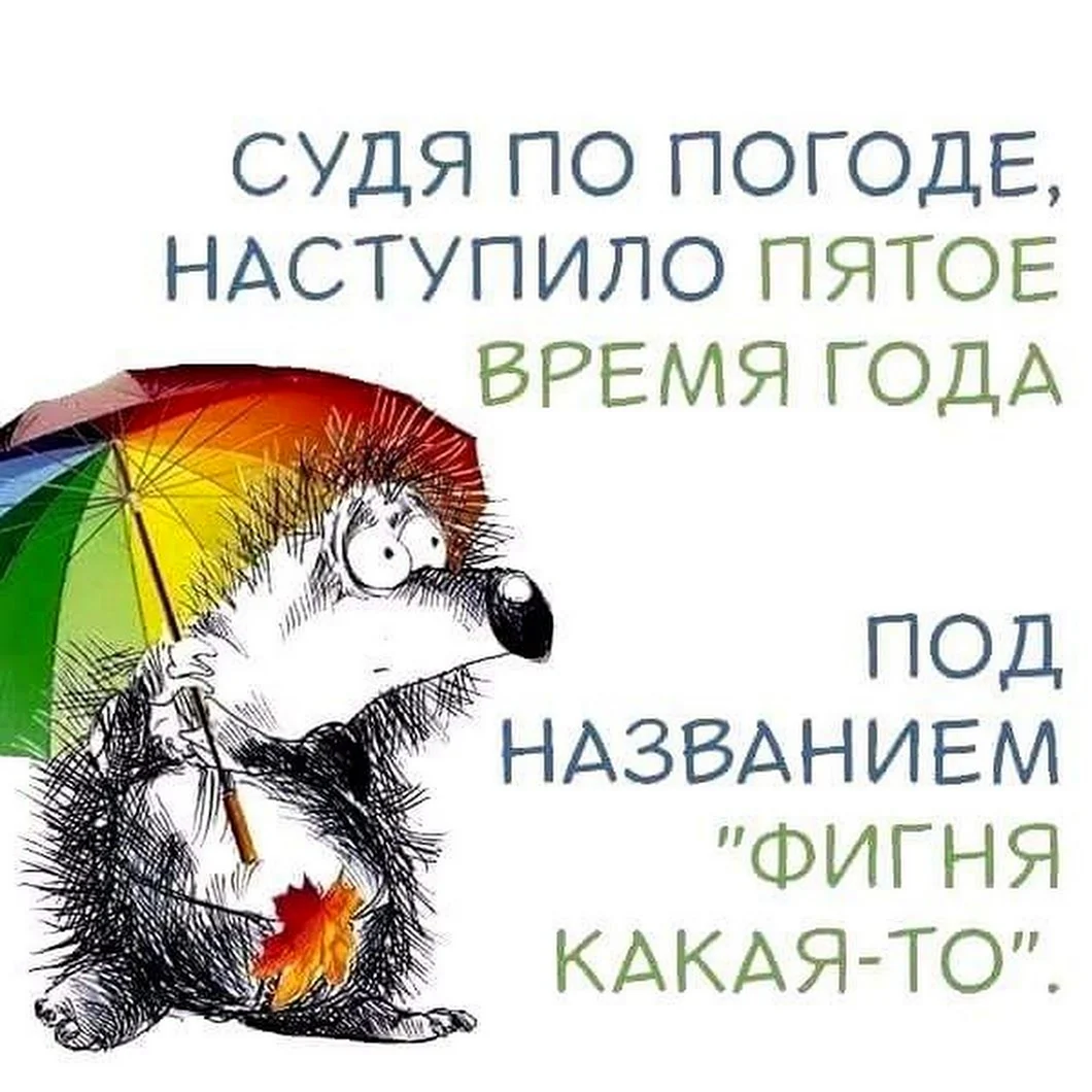 Прохладно и без осадков: какой будет погода в выходные в Краснодаре