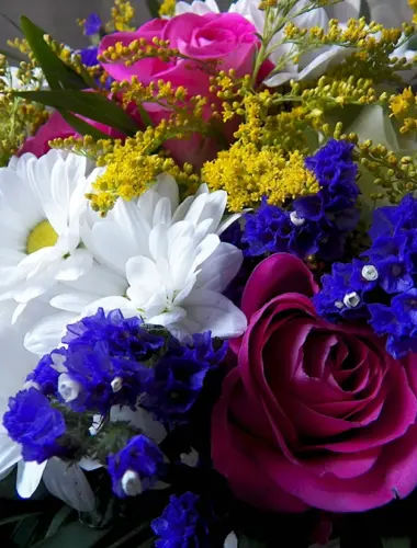 Цветы фото красивые букеты